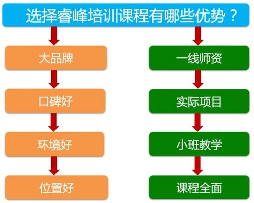 成都網絡營銷培訓與網絡技術服務概覽